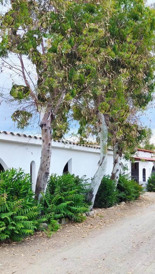 Camping Village Torrenova Cirò Marina Exteriör bild