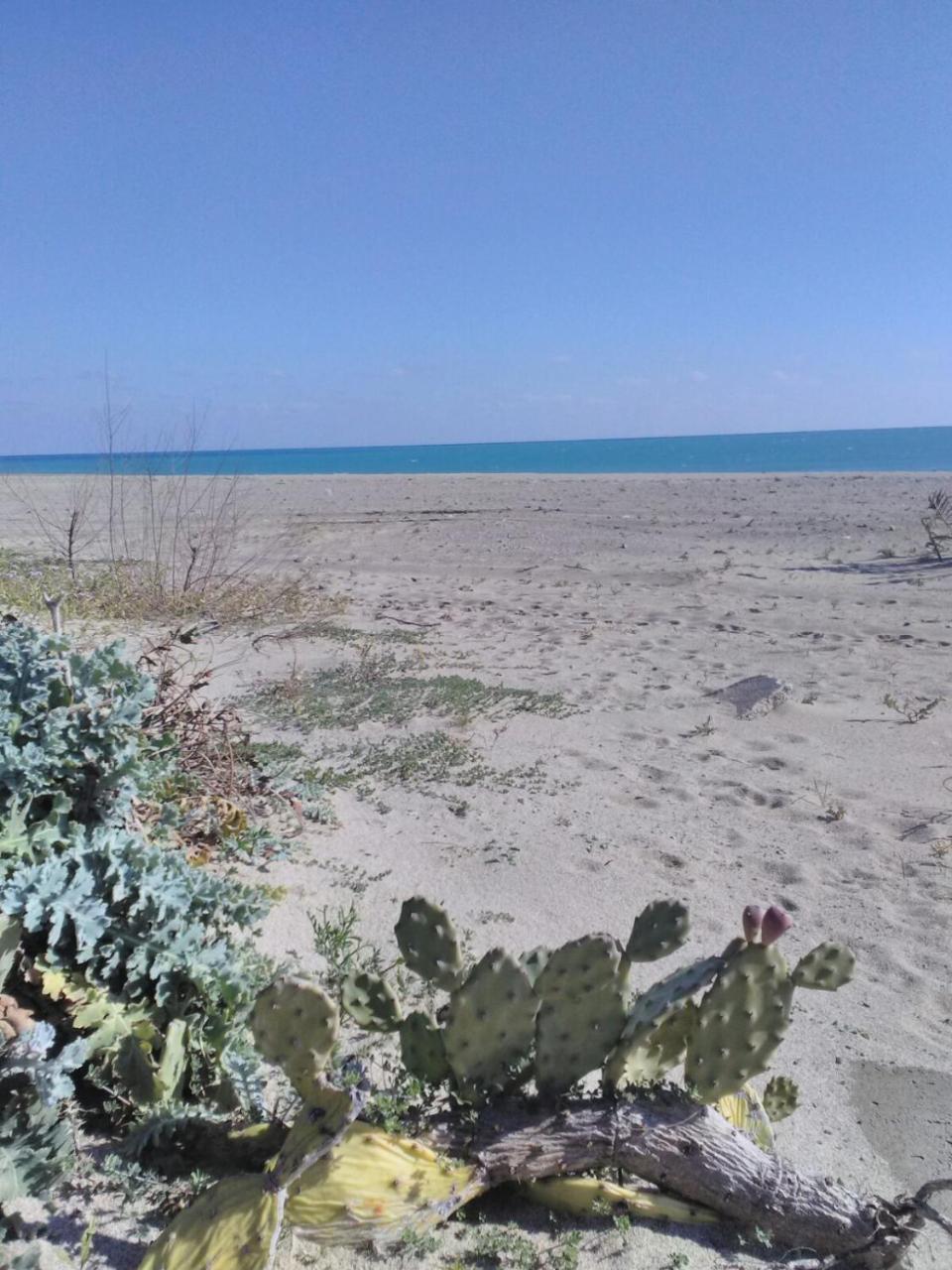 Camping Village Torrenova Cirò Marina Exteriör bild